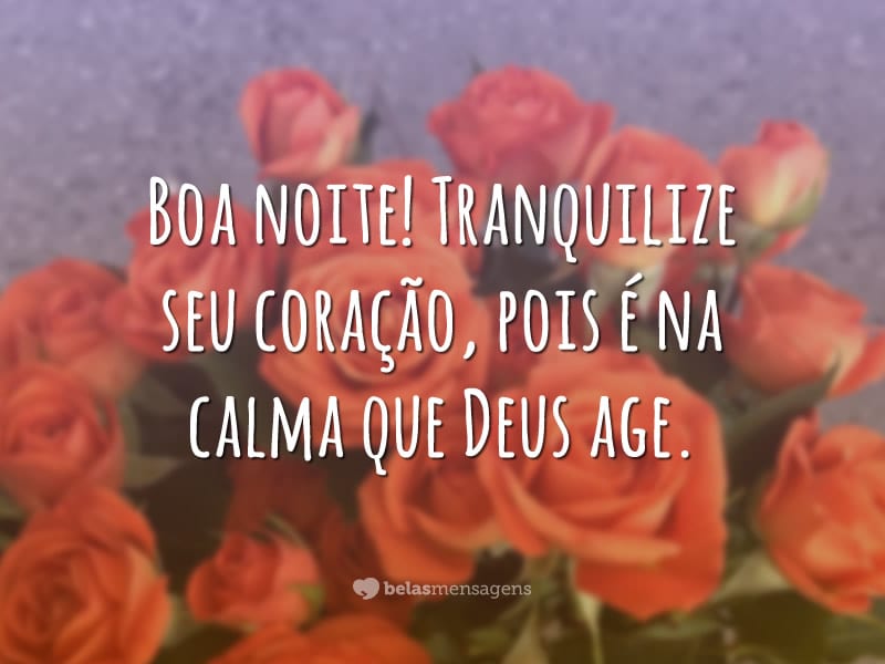 Boa noite! Tranquilize seu coração, pois é na calma que Deus age.