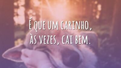 É que um carinho, às vezes, cai bem.