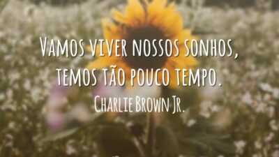 Vamos viver nossos sonhos, temos tão pouco tempo.