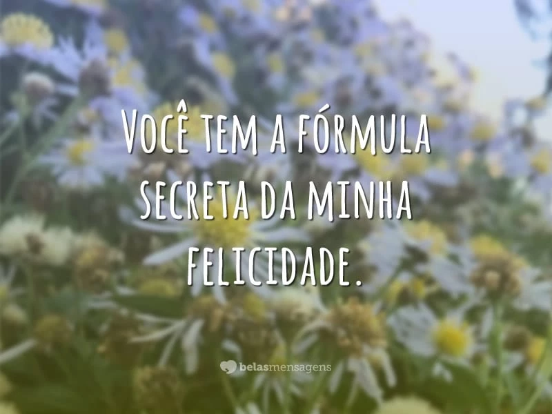 Você tem a fórmula secreta da minha felicidade.