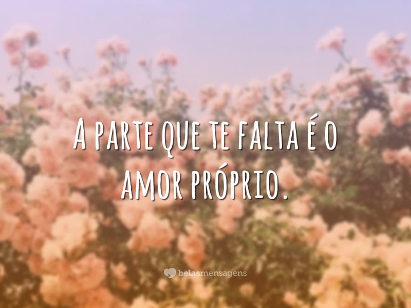 A parte que te falta é o amor próprio.