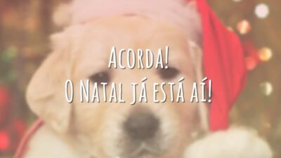 Acorda! O Natal já está aí!