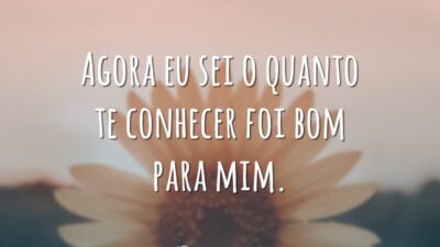 Agora eu sei o quanto te conhecer foi bom para mim.