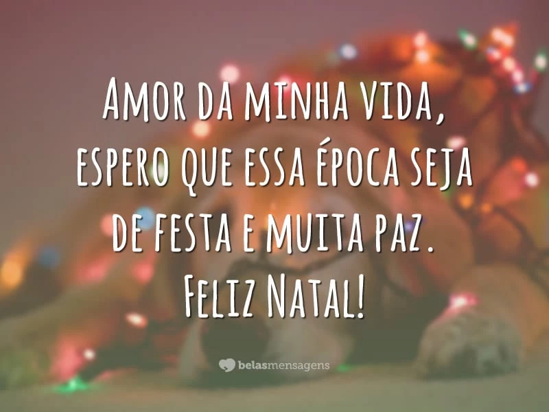 Amor da minha vida, espero que essa época seja de festa e muita paz. Feliz Natal!