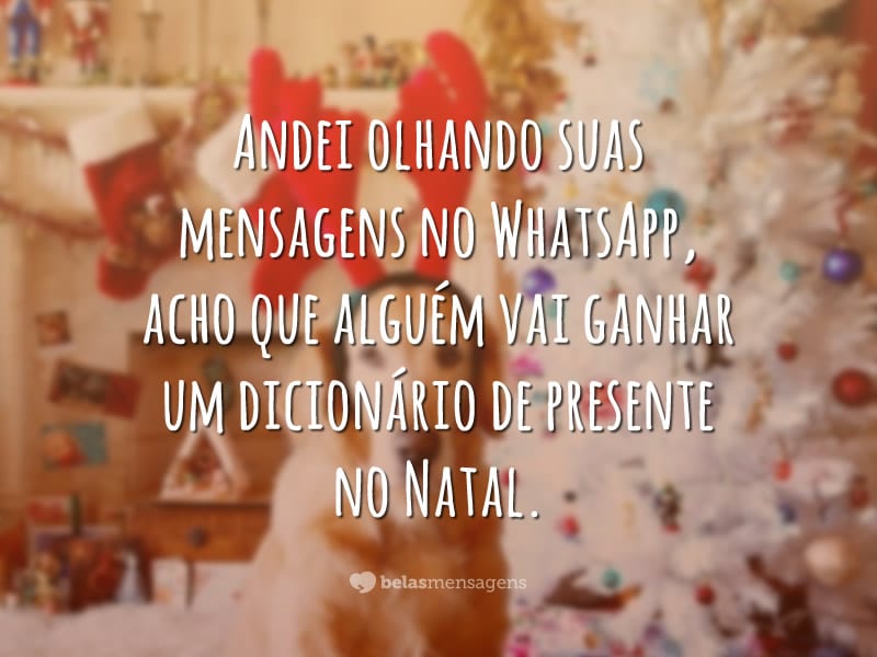 Andei olhando suas mensagens no WhatsApp, acho que alguém vai ganhar um dicionário de presente no Natal.