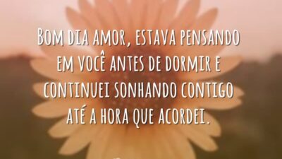 Bom dia amor, estava pensando em você antes de dormir e continuei sonhando contigo até a hora que acordei.