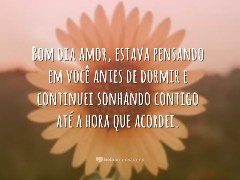 Bom dia amor, estava pensando em você antes de dormir e continuei sonhando contigo até a hora que acordei.