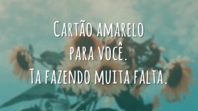 Cartão amarelo para você. Ta fazendo muita falta.