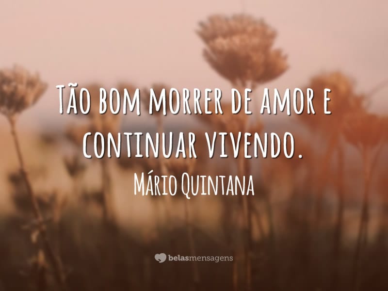 Tão bom morrer de amor e continuar vivendo.