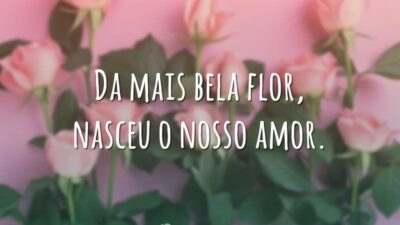 Da mais bela flor, nasceu o nosso amor.