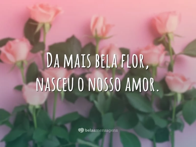 Da mais bela flor, nasceu o nosso amor.