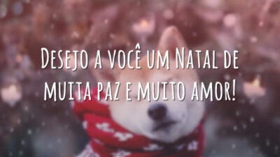 Desejo a você um Natal de muita paz e muito amor!