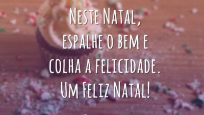 Neste Natal, espalhe o bem e colha a felicidade. Um Feliz Natal!