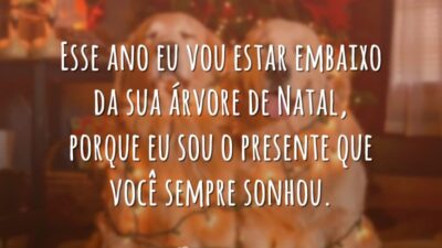 Esse ano eu vou estar embaixo da sua árvore de Natal, porque eu sou o presente que você sempre sonhou.
