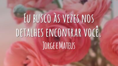 Eu busco às vezes nos detalhes encontrar você.