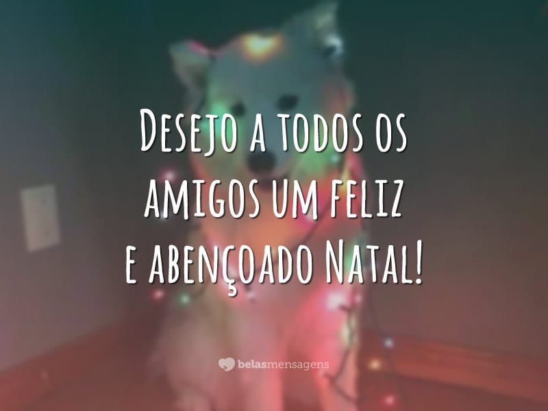 Desejo a todos os amigos um feliz e abençoado Natal!