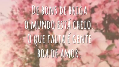 De bons de briga o mundo está cheio. O que falta é gente boa de amor.