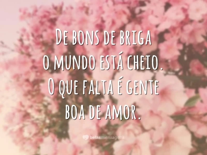 De bons de briga o mundo está cheio. O que falta é gente boa de amor.