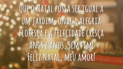 Que o Natal possa ser igual a um jardim, onde a alegria floresça e a felicidade cresça anos e anos, sem fim! Feliz Natal, meu amor!