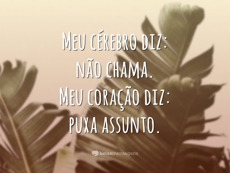 Meu cérebro diz: não chama. Meu coração diz: puxa assunto.