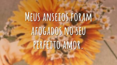 Meus anseios foram afogados no seu perfeito amor.