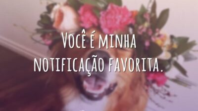 Você é minha notificação favorita.