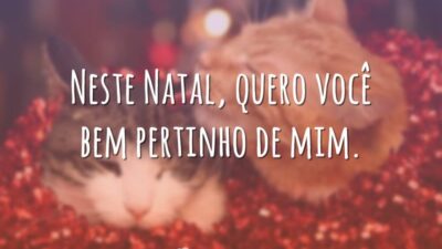Neste Natal, quero você bem pertinho de mim.