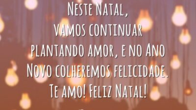 Neste Natal, vamos continuar plantando amor, e no Ano Novo colheremos felicidade. Te amo! Feliz Natal!