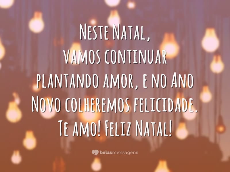 Neste Natal, vamos continuar plantando amor, e no Ano Novo colheremos felicidade. Te amo! Feliz Natal!