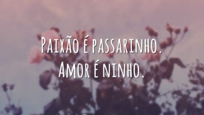 Paixão é passarinho. Amor é ninho.
