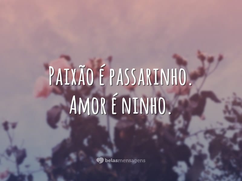 Paixão é passarinho. Amor é ninho.