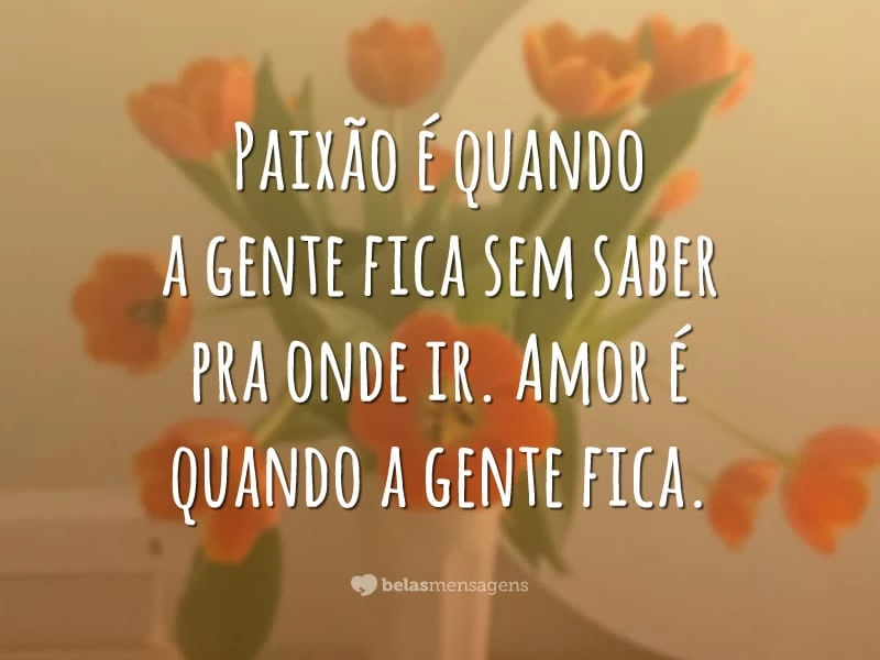 Paixão é quando a gente fica sem saber pra onde ir. Amor é quando a gente fica.