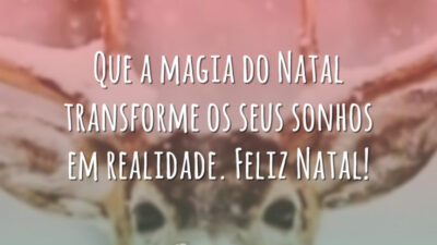 Que a magia do Natal transforme os seus sonhos em realidade. Feliz Natal!