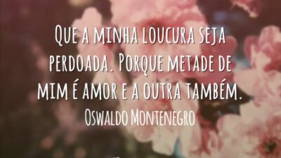 Que a minha loucura seja perdoada. Porque metade de mim é amor e a outra também.