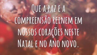 Que a paz e a compreensão reinem em nossos corações neste Natal e no Ano Novo.