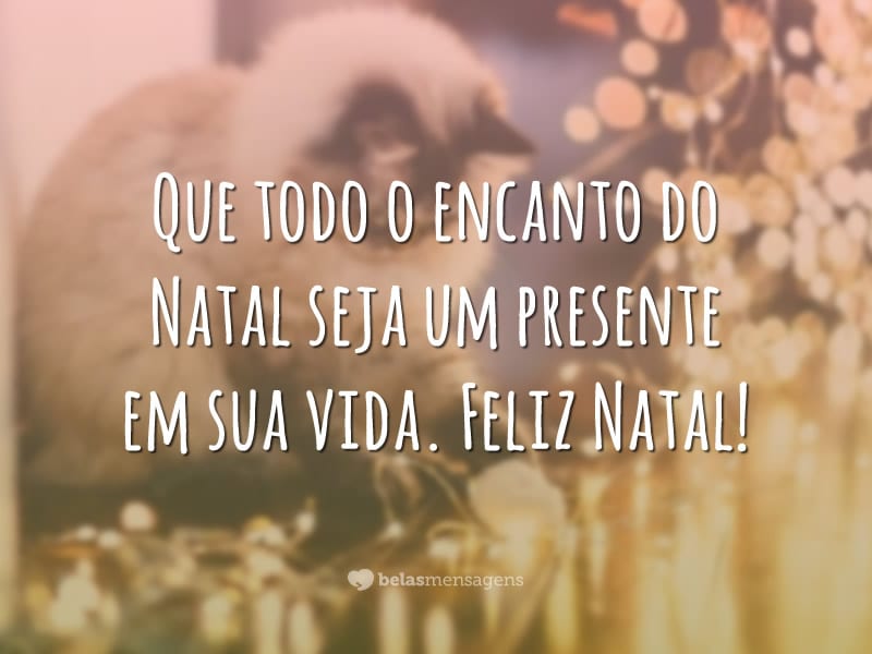 Que todo o encanto do Natal seja um presente em sua vida. Feliz Natal!