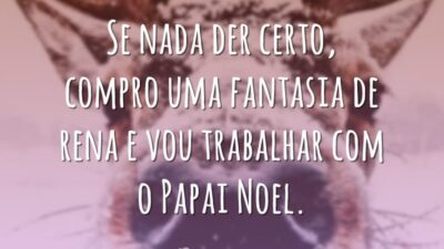Se nada der certo, compro uma fantasia de rena e vou trabalhar com o Papai Noel.