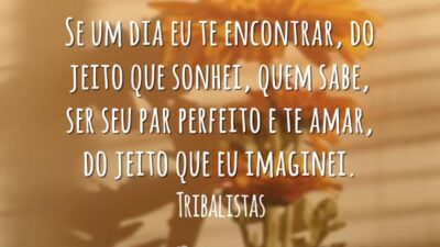 Se um dia eu te encontrar, do jeito que sonhei, quem sabe, ser seu par perfeito e te amar, do jeito que eu imaginei.