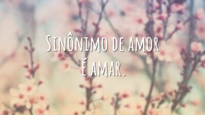 Sinônimo de amor é amar.