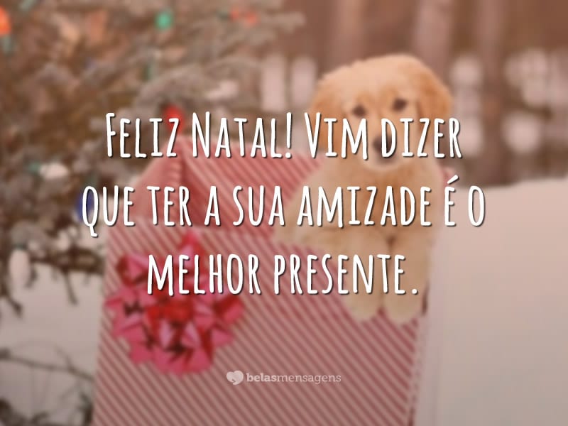 Feliz Natal! Vim dizer que ter a sua amizade é o melhor presente.