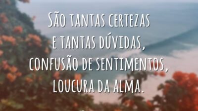 São tantas certezas e tantas dúvidas, confusão de sentimentos, loucura da alma.