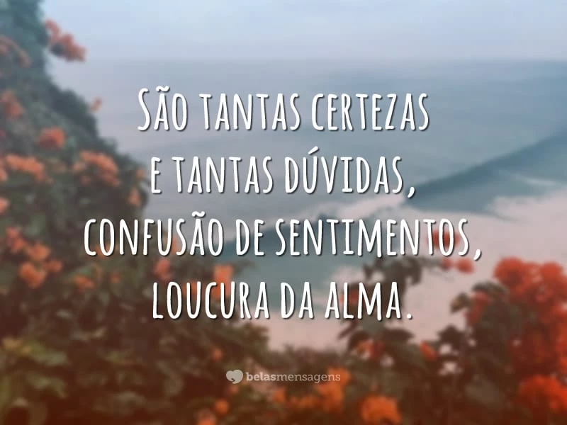 São tantas certezas e tantas dúvidas, confusão de sentimentos, loucura da alma.