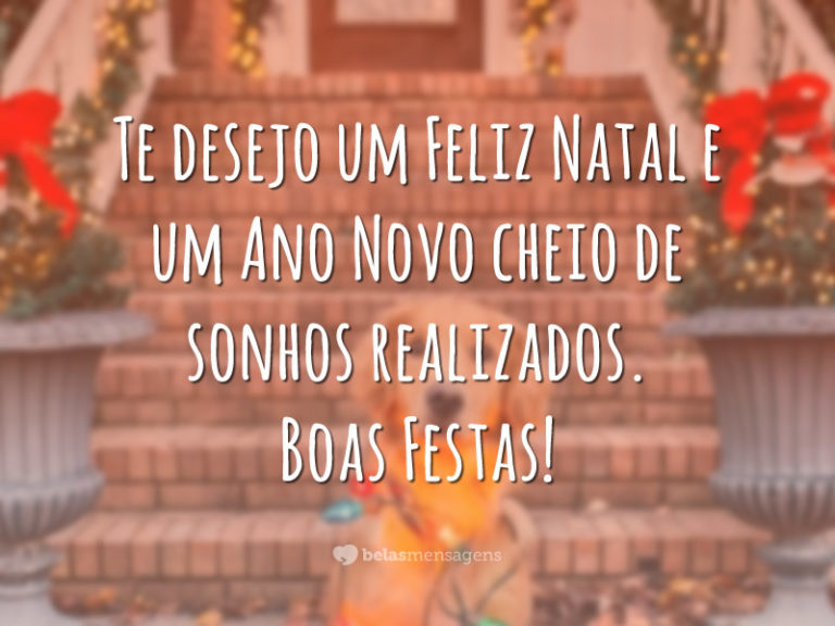 Te desejo um Feliz Natal e um Ano Novo cheio de sonhos realizados. Boas Festas!