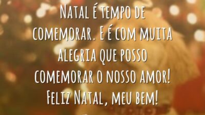 Neste Natal, vamos continuar plantando amor, e no Ano Novo colheremos felicidade. Te amo! Feliz Natal!