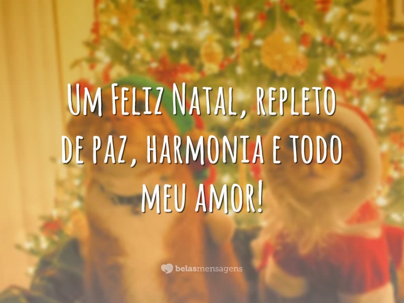 Um Feliz Natal, repleto de paz, harmonia e todo meu amor!