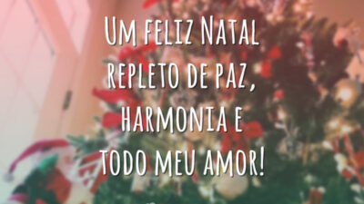 Um feliz Natal repleto de paz, harmonia e todo meu amor!