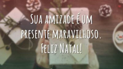 Sua amizade é um presente maravilhoso. Feliz Natal!