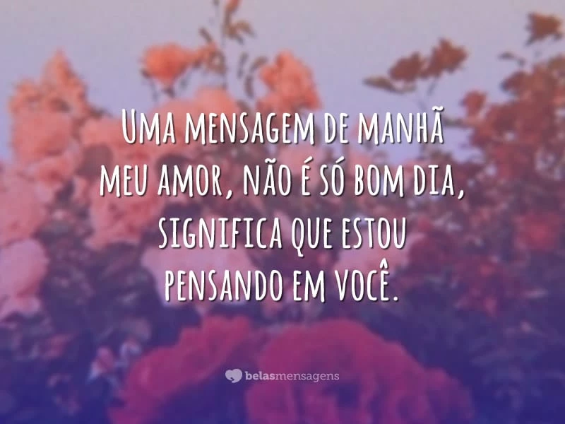 Uma mensagem de manhã meu amor, não é só bom dia, significa que estou pensando em você.