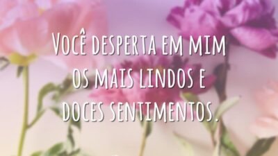 Você desperta em mim os mais lindos e doces sentimentos.