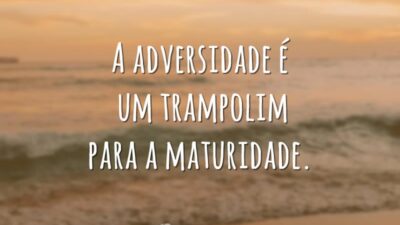A adversidade é um trampolim para a maturidade.